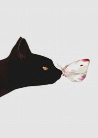 人間好時節 (1v1H)